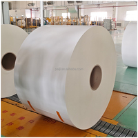 Papier en rouleau de qualité alimentaire APP/Nine Dragons/Bohui 190 g/m² pour la fabrication de boîtes en carton à grande vitesse