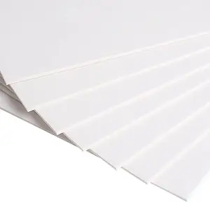 Wholesale 100-400gsm C1S Board A2 A3 A4 A5 4K 8K White Bristol Board Paper