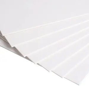 Atacado 100-400gsm C1S Placa A2 A3 A4 A5 4K 8K Branco Bristol Board Papel