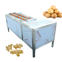 Aardappel, gember, bieten, wortelgroentewas- en schilmachine met motor, capaciteit 50-2000 kg/uur voor de verwerking van fruit & noten