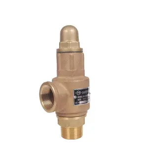 Manufacturer Wholesale Pressure Relief Steam Safety Valve For Water Heater With Private Label