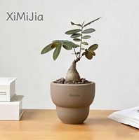 Pot de fleurs en argile moderne et simple pour orchidées, begonias, succulentes et légumes racineux - Nouveau produit - Bestseller