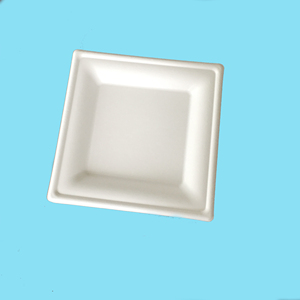 Thực phẩm công nghiệp sử dụng và dùng một lần Tính năng compostable <span class=keywords><strong>10</strong></span> "tấm vuông phân hủy sinh học bã mía tấm dùng một lần dịch vụ tấm - Product Image 4