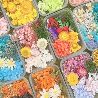 Boîte de fleurs séchées stabilisées pour l'art de la résine DIY, fleurs séchées mélangées multicolores, en vrac, naturelles, kits de matériaux