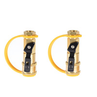 Adaptateur de gaz propane en laiton 1/4 po personnalisé - Vanne de commutation et raccord rapide pour réservoirs et bouteilles - Raccords à connexion rapide