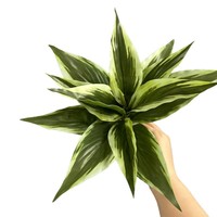 Bonsai Aglaonema Plastik Berkualitas Tinggi 12 Daun Bermotif Bunga 30-100cm Dekorasi Pot Kecil Tanaman Hijau Kantor