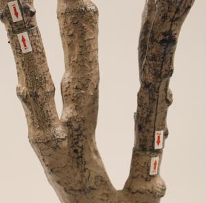 JWT4089 Albero <span class=keywords><strong>di</strong></span> Ulivo Artificiale Grande con Protezione UV, Ecologico, Personalizzabile, Pianta in <span class=keywords><strong>Plastica</strong></span> <span class=keywords><strong>di</strong></span> Alta Qualità per Paesaggisti, Interni ed Esterni - Product Image 5