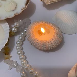เทียนรูปเม่นทะเลธรรมชาติเปลือกหอยเครื่องประดับเทียนหอมระเหยกลิ่นเปลือกหอยสร้างบรรยากาศของขวัญวันเกิดที่สร้างสรรค์ในบ้าน - Product Image 5
