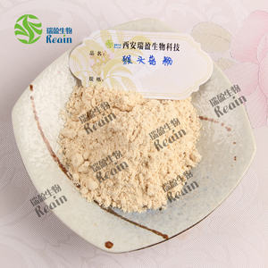 Venta al por mayor a granel orgánico <span class=keywords><strong>Hericium</strong></span> <span class=keywords><strong>Erinaceus</strong></span> Lions Mane Mushroom Powder - Product Image 3