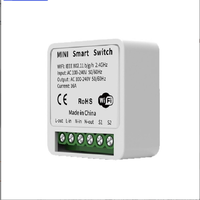 Tuya 16A Mini interrupteur intelligent WiFi pour bricolage relais de minuterie de contrôle sans fil pour système domestique intelligent fonctionne avec Alexa et Google Home