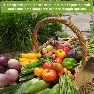 Kit de jardin potager complet de style campagnard moderne, collection de matériaux en fibres végétales pour la plantation sur le bureau à domicile - Product Image 6