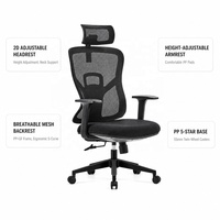 Chaise de bureau ergonomique moderne en maille de haute qualité avec accoudoirs réglables et base en acier pour personnel et managers – Offre Spéciale