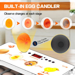 CE marcato 20 termometro digitale per incubatore commerciale cova uova di dimensioni diverse - Product Image 4