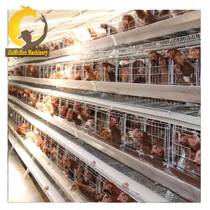 Professional poultry layer farming equipment A type layer chicken cage with best price