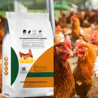 Aliment Composé pour Améliorer la Qualité des Œufs – Prémélange Avicole à Prix Compétitif, Idéal pour Poules Pondeuses – Aliment Composé pour Poulets Pondeurs