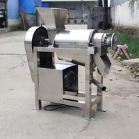 Apple Sinaasappel Ananassap Maker Machine Industriële Schroef Koude Pers Juicer Afzuigmachine Voor Fruit