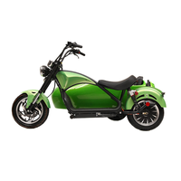 Scooter à trois roues Citycoco 2000W 60V 30AH avec batterie, 50 km/h, GPS, pliable, étanche, avec side-car pour chien