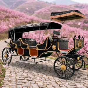 Chariot de tourisme de luxe à chevaux, vente chaude directe usine, chariot à chevaux pour mariages et excursions, et chariots à chevaux rétro - Product Image 1