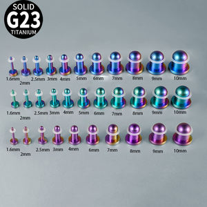 Großhandel G23 Implantat qualität Titan Regenbogen Blau Farbverlauf Zylinder Ohr messgeräte Expander Bahre Körper Stein Ohr kegel Piercing - Product Image 5