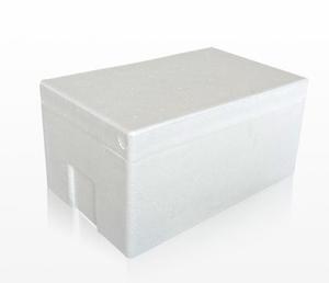 EPS泡沫盒，用于食品鱼果聚苯乙烯泡沫盒，保护性运输箱 - Product Image 1