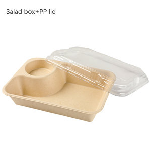 Thân Thiện Với Môi Dùng Một Lần Hình Chữ Nhật Hộp Ăn Trưa Với Nắp Phân Hủy Sinh Học Mía Bột Giấy Bã Mía Bộ Đồ Ăn Đúc Túi Thực Phẩm - Product Image 2