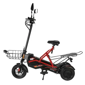 Hot Sale In Europe And America Electric Off Road Scooter Adults Foldable 3 Wheel Scoter Electric Scooter