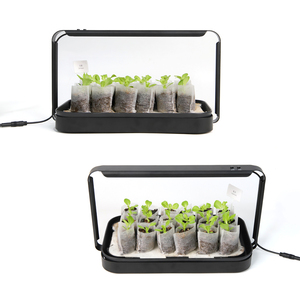 Bolsas <span class=keywords><strong>de</strong></span> plántulas no tejidas degradables ecológicas <span class=keywords><strong>de</strong></span> Color blanco PE Plantación <span class=keywords><strong>de</strong></span> <span class=keywords><strong>aguacate</strong></span> Bolsa <span class=keywords><strong>de</strong></span> vivero <span class=keywords><strong>de</strong></span> plástico bolsas <span class=keywords><strong>de</strong></span> cultivo para plantas - Product Image 4