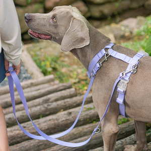 Laisse pour chien à double tête en PVC, couleur unie, durable, résistante à l'usure, corde de traction pour animaux de compagnie - Product Image 2