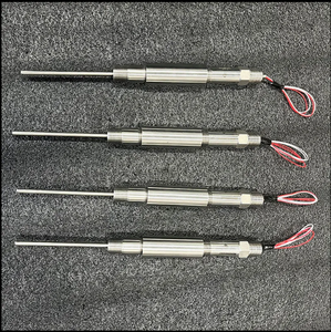 Sonde de température RTD 0065, tous modèles, classe A/B, élément simple/double, gaine 316L, longueur personnalisée, sonde industrielle - Product Image 5