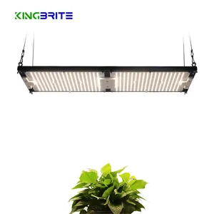 King Brite LED King Brite 240W Samsung lm301h 3000K/3500K/4000K LED V4 Board LED Grow Light Pflanzen lampe