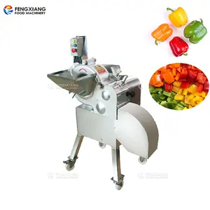 Automatic Tomato Dicer Machine Sold To Uzbekistan