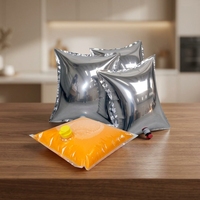 Sac BIB aseptique transparent personnalisé de 5L, 10L, 20L avec robinet en plastique pour jus de fruits, vodka, bière