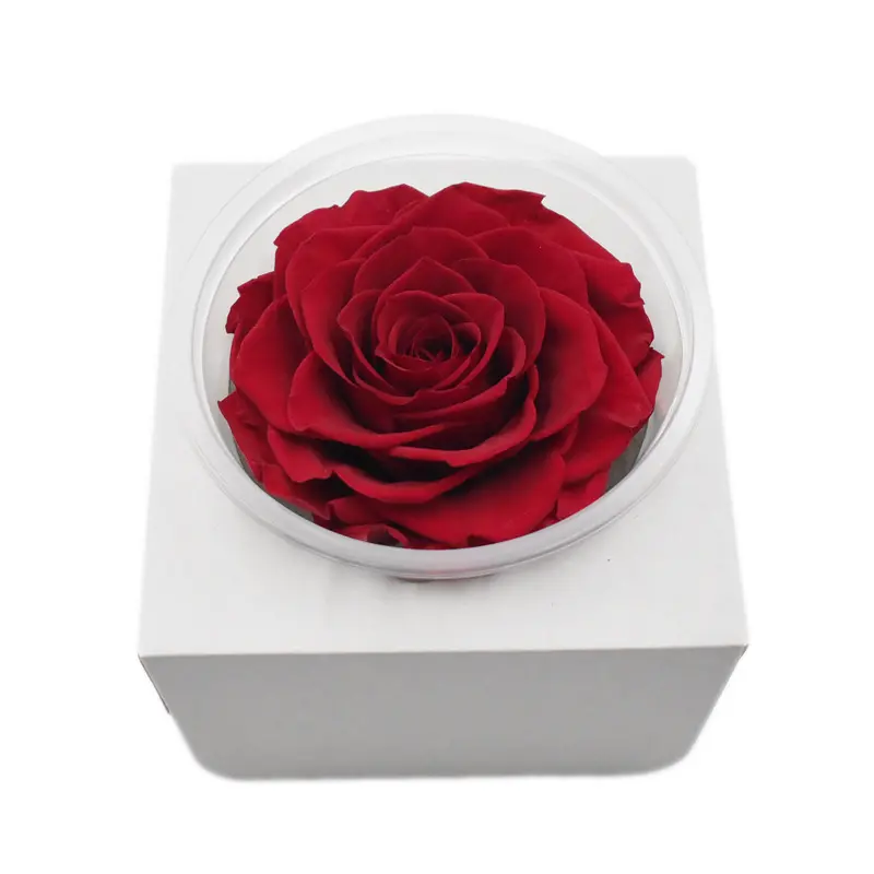 Китайское профессиональное производство с розами 9-10 см консервированные розы бутон вечные цветы бессмертные розы голова