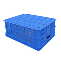 Panier en filet pour fruits et légumes OEM du fabricant 606*420*218mm, caisse en plastique étanche, durable, légère et écologique pour le déménagement