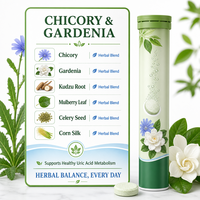 Comprimés Effervescents aux Plantes Chicorée Gardénia Pueraria Feuille de Mûrier Soie de Maïs pour l'Équilibre de l'Acide Urique et le Métabolisme Corporel Adulte 20