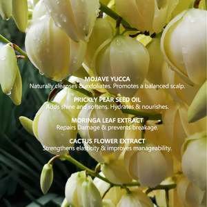 Champú Seco en Polvo de Marca Blanca, Absorbe el Exceso de Grasa, Refresca las Raíces, Extiende el Estilo, Sin Aerosol - Product Image 2