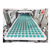 Ligne de production de perles de savon à lessive électrique à grande vitesse TC China Composants complets-Moteur de pompe PLC Entreprise de fabrication directe
