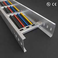 Fabricant de plateaux à câbles sur mesure OEM/ODM, directement d'usine, faible MOQ, échelle à câbles en treillis métallique galvanisé en acier inoxydable, vente en gros