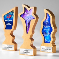 Trophée personnalisé en bois avec impression UV, texte personnalisé, récompense pour les réalisations professionnelles, souvenir, plaque en bois
