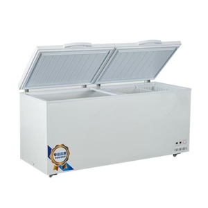Congelador Horizontal de Una Sola Temperatura para Supermercados, Económico, de 450l, 550l, 650l, 750l, para Uso Doméstico - Product Image 1