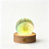 Lampe de nuit LED en boule de cristal de pissenlit véritable préservé, base en bois, globe de fleurs en résine, décoration d'intérieur, cadeau d'anniversaire