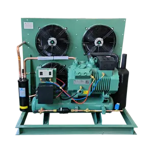 Unidad de compresor de refrigeración de alta calidad, varias unidades de condensación de almacenamiento en frío de congelación rápida, unidades de refrigeración industriales