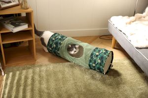 Tunnel pour chat pliable et repliable, tunnel de jeu interactif pour chat avec balle, tunnel de jeu d'intérieur pour chaton - Product Image 3