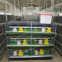 Nouveau design 60 à 320 oiseaux capacité couveuse cage à poulet galvanisé à chaud 3/4 couches avec 2 portes un type batterie d'élevage de volaille