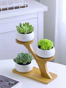 Pot de fleurs créatif en céramique de citrouille de hibou de plante charnue <span class=keywords><strong>blanche</strong></span> avec sommet d'arbre en bambou pour la maison et le jardin - Product Image 4