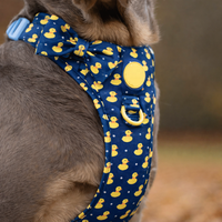 Harness Anjing Taktis Desainer Lucu Anti Tarik, Dapat Dibalik, Custom Per Grosir, untuk Anjing Besar dan Sedang