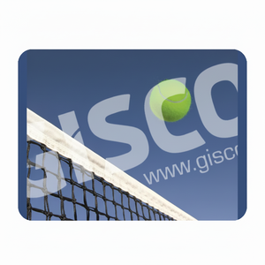 มืออาชีพตาข่ายเทนนิสราคาที่ดีที่สุดราคา - Product Image 1