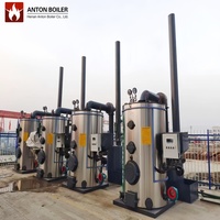 Chaudière à vapeur industrielle de 200 kg, 500 kg, demi-tonne, alimentée au charbon de biomasse et aux granulés de bois, générateur de vapeur, chaudière à charbon et biomasse