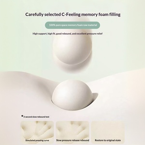 Matelas simple en mousse <span class=keywords><strong>à</strong></span> mémoire de forme pour étudiant en dortoir, housse de matelas, mobilier de maison, chambre <span class=keywords><strong>à</strong></span> coucher, tatami, appartement locatif, coussin spécial ultra-doux - Product Image 3