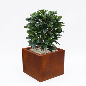 Jardinière cube en acier Corten durable pour extérieur, style rustique, écologique, pour patio, prix usine - Product Image 1